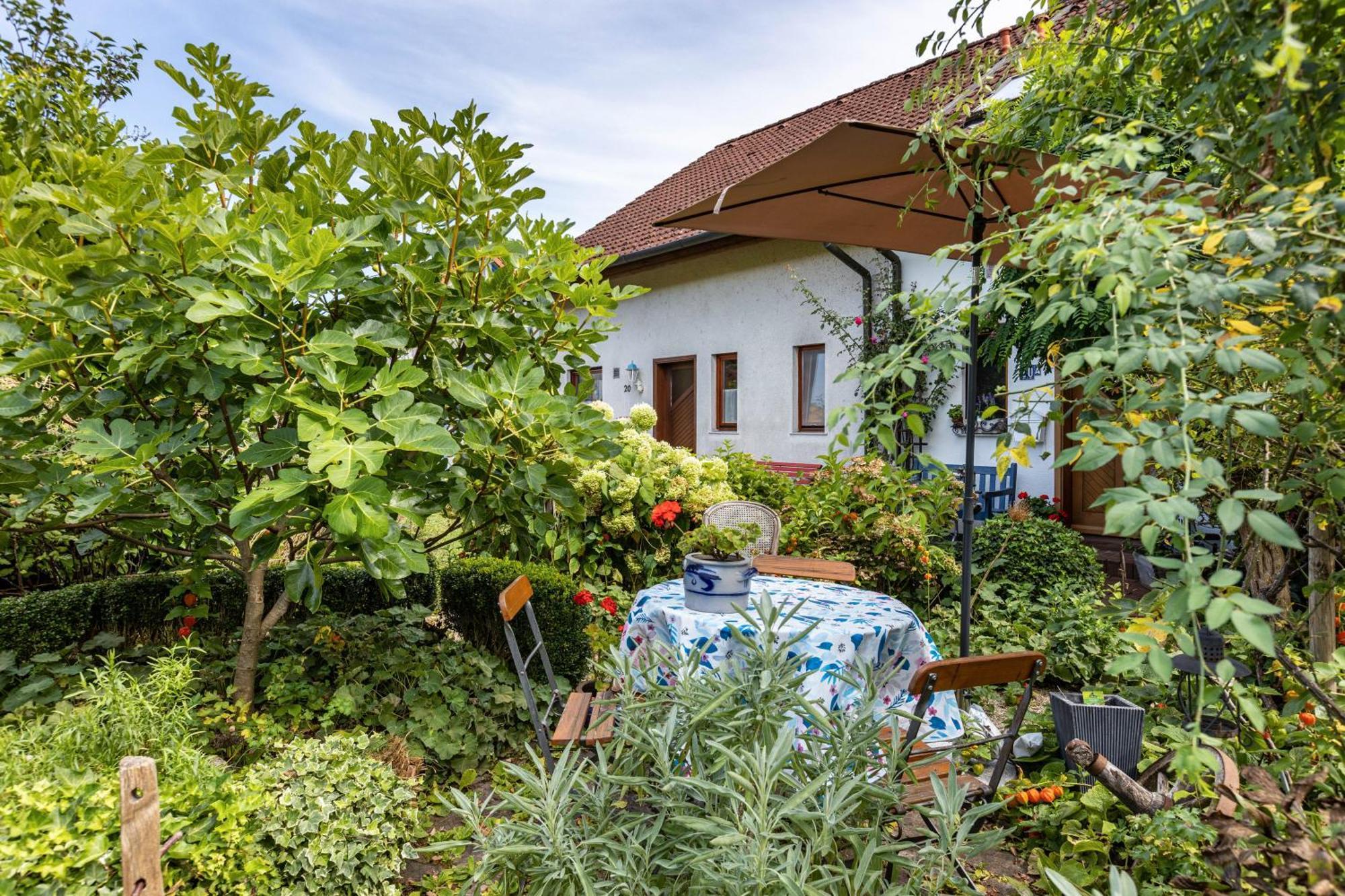 Ferienwohnung Alina Singen  Exterior foto
